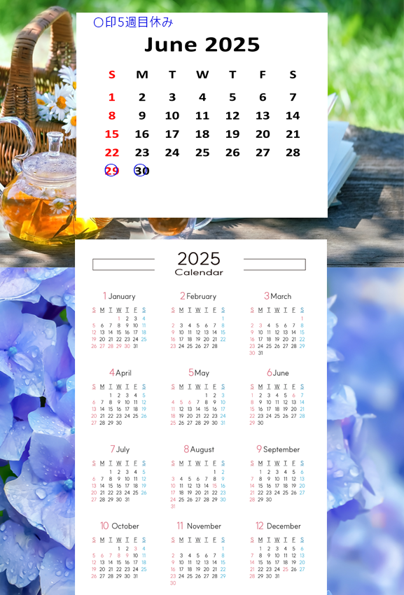 2025年6月